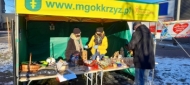 Wielka Orkiestra Świątecznej Pomocy